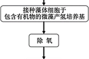 提高微藻產(chǎn)氫效率的方法