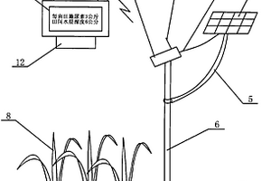 色彩傳感器在晚稻栽培三黑三黃方法中的應(yīng)用裝置