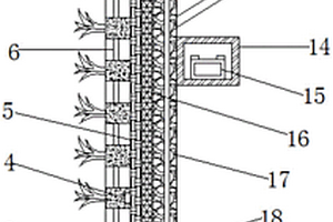 可雨水收集的墻體綠化結構