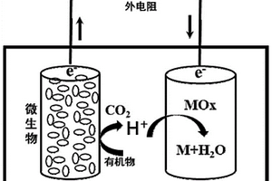 微生物燃料電池陰極、制備方法及其應(yīng)用