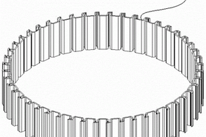 雙向傳遞扭矩的鎖止環(huán)、離合器及應(yīng)用的兩擋自動變速器