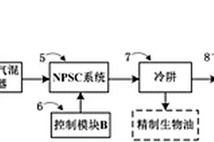 生物質(zhì)與廢塑料制取生物油和燃?xì)獾难b置