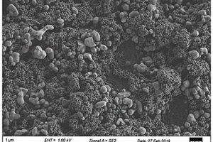 Al<Sub>2</Sub>O<Sub>3</Sub>&PVDF&PMMA混涂漿料、復(fù)合型鋰離子電池隔膜和鋰離子電池