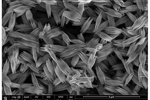 梭形結(jié)構(gòu)H<Sub>2</Sub>Ti<Sub>5</Sub>O<Sub>11</Sub>·H<Sub>2</Sub>O納米材料的溶劑熱合成方法及鋰電池電極材料應(yīng)用