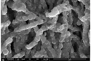 錳酸鋰、鈦酸鋰與TiO<Sub>2</Sub>復(fù)合物納米線及其制備方法