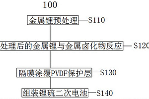 鋰金屬負極雙重保護方法與應(yīng)用