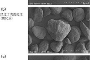 鋰離子二次電池負(fù)極用非晶質(zhì)碳材料和石墨質(zhì)碳材料、用這些材料制成的鋰離子二次電池、以及鋰離子二次電池負(fù)極用碳材料的制備方法