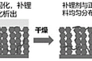 基于冷凍干燥的鋰離子電池正極補(bǔ)鋰方法及產(chǎn)品