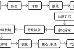 用鋰聚合物和鹽湖礦石混合生產碳酸鋰的工藝