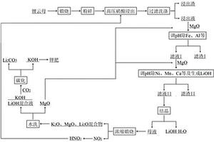 采用硝酸加壓法處理鋰云母生產(chǎn)多種鋰產(chǎn)品的方法