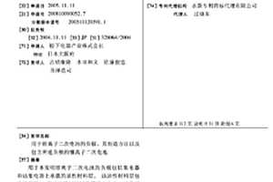 用于鋰離子二次電池的負(fù)極、其制造方法以及包含所述負(fù)極的鋰離子二次電池