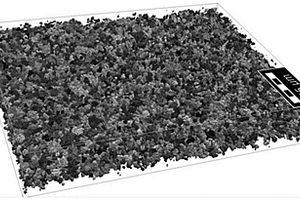 鋰離子二次電池用負(fù)極、制造所述負(fù)極的方法以及包括所述負(fù)極的鋰離子二次電池