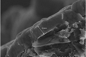 鋰離子電池負(fù)極極片及其制備方法、鋰離子電池