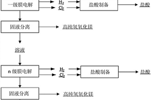 膜電解從高鎂鋰比鹽湖鹵水中分離鎂和富集鋰的方法