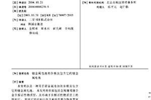 鋰金屬電池的負(fù)極及包含它的鋰金屬電池