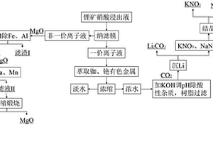 鋰礦硝酸浸出液膜法生產(chǎn)碳酸鋰的方法