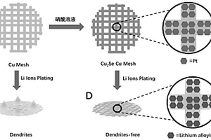 硒化銅原位包覆泡沫銅作為鋰金屬載體的鋰金屬基電池及其制備方法