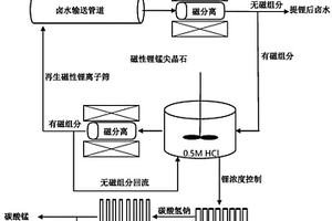 從鹵水中提取鋰并制備高純鋰濃液的方法