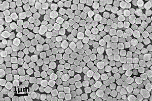 鋰離子電池負(fù)極材料用搖鈴狀Fe<sub>3</sub>O<sub>4</sub>/C/MoS<sub>2</sub>雜化微粒