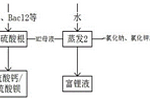 從含鋰、鈉、鉀的混合鹽體系中分別分離出鋰鹽、鈉鹽、鉀鹽的工藝方法