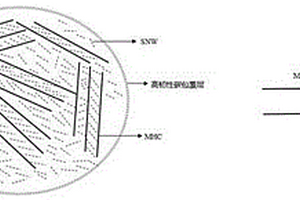 摻硅補鋰技術方案及其鋰離子電池的組裝方法