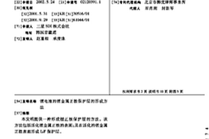 鋰電池的鋰金屬正極保護(hù)層的形成方法