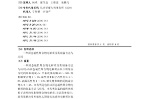 固態(tài)磁性聚合物電解質(zhì)及其制備方法與應(yīng)用