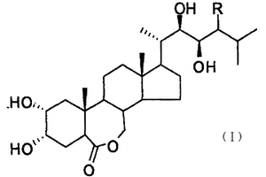 油菜素內(nèi)酯及其類似物的綠色合成方法