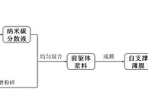 基于納米碳材料自支撐電極片的制備方法