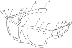 人工智能導(dǎo)盲眼鏡