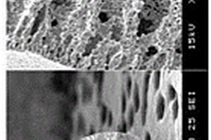 用于高溫CO<Sub>2</Sub>氣體分離的SDC/LNO-碳酸鹽膜、膜反應(yīng)器及其應(yīng)用