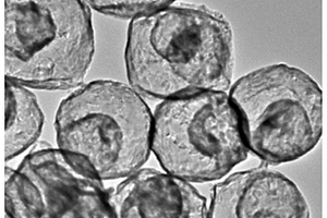 基于陰離子吸附合成的多殼層金屬氧化物空心球及其制備方法和用途
