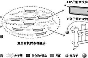 具有多重Li<sup>+</sup>傳導通路的復合有機固態(tài)電解質及其制備方法