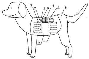 銅銦鎵硒薄膜太陽能電池應(yīng)用在寵物狗衣服上的保暖裝置