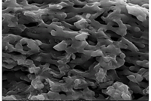 用作鉀離子電池負極的氮-鈷-氧三摻雜的網(wǎng)絡狀碳材料的制備方法