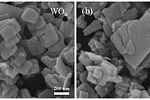 缺陷鎢氧化物/釕納米顆粒復(fù)合型催化劑及其制備方法和應(yīng)用