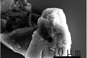 生物硅碳材料的制備方法、生物硅碳材料及應用