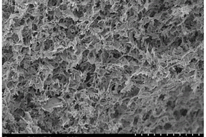 松枝狀氧化釤石墨烯硫凝膠結(jié)構(gòu)材料及制備方法與應(yīng)用