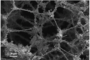 氮摻雜碳泡沫@WS<sub>2</sub>納米片三維網(wǎng)絡(luò)復(fù)合結(jié)構(gòu)的制備方法