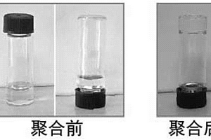 固態(tài)聚合物電容器及其制備方法