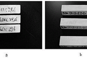 竹木結(jié)構(gòu)用無機(jī)膠及其制備方法