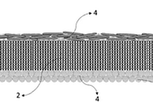 用于二次電池的不對稱隔膜