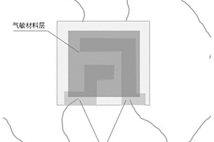 鋰離子電池泄漏檢測用傳感器、制備方法及應(yīng)用