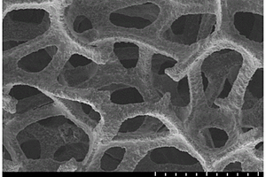 基于氧化錫包覆三維導電骨架的鋰金屬負極及其制備方法