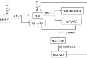 輔助結(jié)晶曬鹽降低鹽湖中鎂鋰比的方法