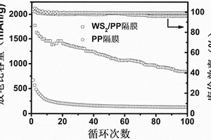高循環(huán)穩(wěn)定性的鋰硫電池隔膜