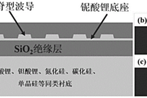 基于周期極化鈮酸鋰薄膜波導(dǎo)結(jié)構(gòu)的上轉(zhuǎn)換單光子探測器