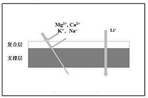 鋰離子選擇性透過膜及其制備方法
