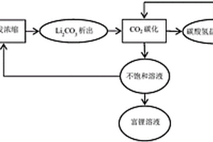 碳酸鹽型鹽湖鹵水富集鋰鹽同時提取鉀鹽的方法