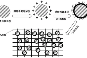 鋰電池復合正極及其制備方法